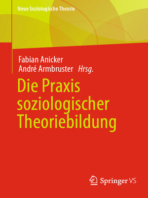 Die Praxis soziologischer Theoriebildung - ebook